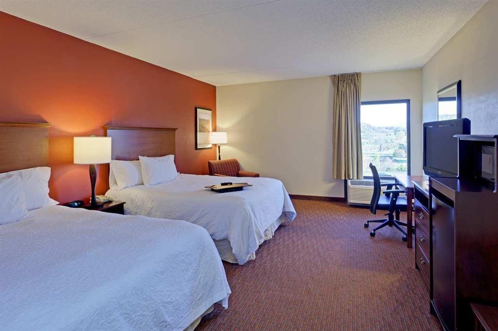 Hampton Inn Waynesboro/Stuarts Draft Fishersville Rum bild